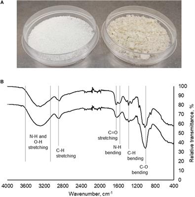 Effective Harvesting of Nannochloropsis Microalgae Using Mushroom Chitosan: A Pilot-Scale Study